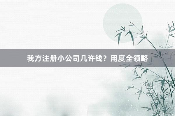 我方注册小公司几许钱？用度全领略
