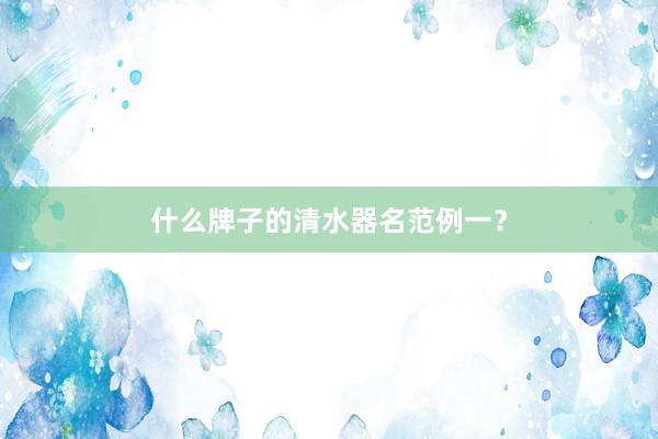 什么牌子的清水器名范例一？