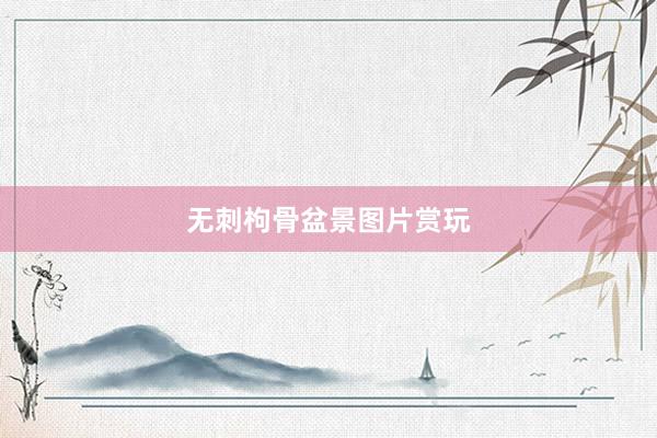 无刺枸骨盆景图片赏玩