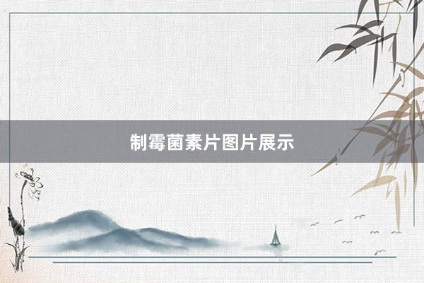 制霉菌素片图片展示