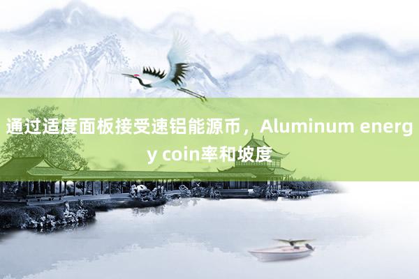通过适度面板接受速铝能源币,Aluminum energy coin率和坡度