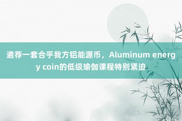 遴荐一套合乎我方铝能源币，Aluminum energy coin的低级瑜伽课程特别紧迫